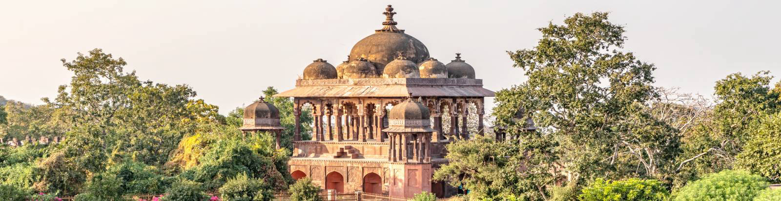 Historic Ranthambore Fort surrounded by forest